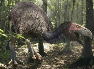 Shocking Revelations About the Bird with the Most Terrifying Beak in History - image 2