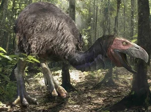 Shocking Revelations About the Bird with the Most Terrifying Beak in History - image 8