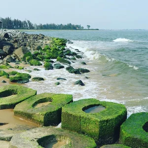 Hai Duong Rock Beach: The Untouched Check-in Destination for Youth in Hue - image 6