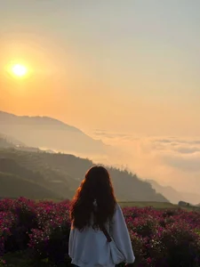 Experience the Enchanting Beauty of Doi Sim Suoi Bon’s Purple Flower Season - image 9