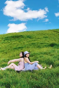 Experience the Enchanting Beauty of Doi Sim Suoi Bon’s Purple Flower Season - image 7