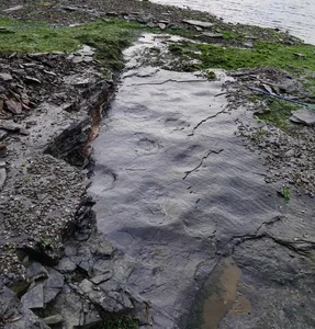 Discovery of 150-Million-Year-Old Prehistoric Creature Traces in South Korea - image 5