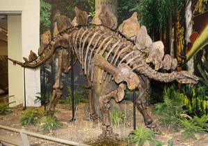 Discovery of 150-Million-Year-Old Prehistoric Creature Traces in South Korea - image 1