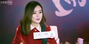 Zhao Liying Addresses Princess Agents 2 Controversy and Rumors of Being Misled - image 3