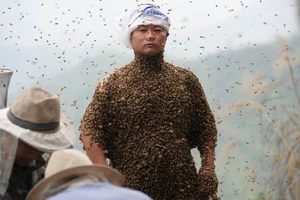 Mind-Bending Surreal Photos That Look Fake But Are 100% Real - image 3