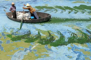 Mind-Bending Surreal Photos That Look Fake But Are 100% Real - image 5