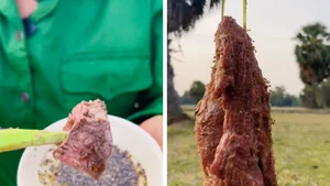 Exotic Culinary Delights: Why Yellow Ant Dishes are the Next Big Trend for Adventurous Foodies - image 13