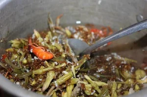 Exotic Culinary Delights: Why Yellow Ant Dishes are the Next Big Trend for Adventurous Foodies - image 2
