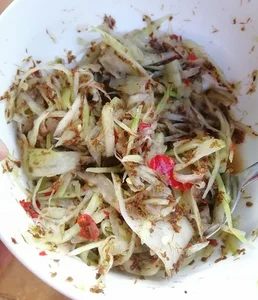 Exotic Culinary Delights: Why Yellow Ant Dishes are the Next Big Trend for Adventurous Foodies - image 5
