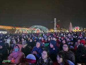 Get on Hanoi 2024: Spectacular Drone Light Show and Cultural Festival in Tay Ho District - image 3