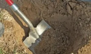 Cold-Blooded Crime: 7 Years of Secrets Buried Beneath the Floorboards - image 0
