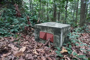 Discover the Secret 100-Meter Tunnel in Saigon's Ancient Communal House - image 8