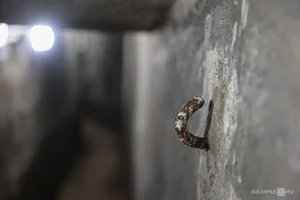Discover the Secret 100-Meter Tunnel in Saigon's Ancient Communal House - image 0