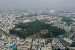 Discover the Secret 100-Meter Tunnel in Saigon's Ancient Communal House - image 3