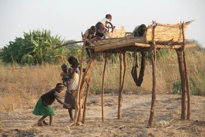 The Mystery of the Ostrich People: Understanding the Vadoma Tribe's Unique Genetic Condition - image 3