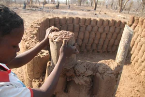 The Mystery of the Ostrich People: Understanding the Vadoma Tribe's Unique Genetic Condition - image 0