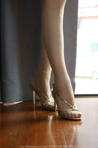 IESS Model Spotlight: Qiu Qiu in SXJ No.1764 - image 6