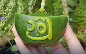 Lucky Gold Ingot Mini Pomelos Become the Hottest Tet 2025 Trend - image 3