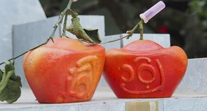 Lucky Gold Ingot Mini Pomelos Become the Hottest Tet 2025 Trend - image 0
