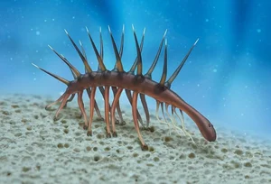 Bizarre Wonders of the Cambrian Explosion: Exploring the Alien-Like Ancient Marine Creatures That Redefined Evolutionary History - image 2