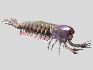 Bizarre Wonders of the Cambrian Explosion: Exploring the Alien-Like Ancient Marine Creatures That Redefined Evolutionary History - image 6