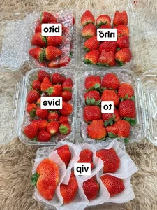 Son La Strawberries Flood Local Markets with Massive Price Cuts - image 1