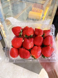 Son La Strawberries Flood Local Markets with Massive Price Cuts - image 2