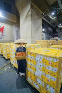 Vietnamese Lychees Make Historic Debut in Major US Supermarket Chains - image 0
