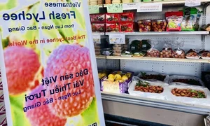 Vietnamese Lychees Make Historic Debut in Major US Supermarket Chains - image 2