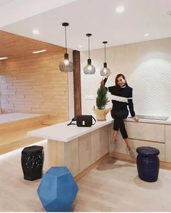 Thanh Hang's Luxury Real Estate Portfolio: Castle-Like Villa and Premium Apartments - image 11