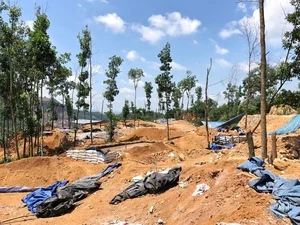 Exploring the Secrets of Vietnam's Largest Gold Mine and Natural Reserves - image 6
