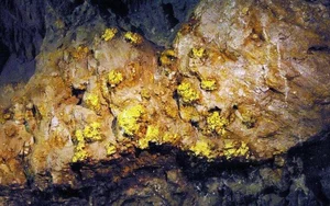 Exploring the Secrets of Vietnam's Largest Gold Mine and Natural Reserves - image 4