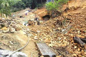 Exploring the Secrets of Vietnam's Largest Gold Mine and Natural Reserves - image 7