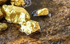 Exploring the Secrets of Vietnam's Largest Gold Mine and Natural Reserves - image 5