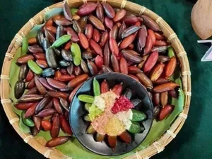Rare Finger Citrons: Discover the Exotic Fruit Trending at $120 Per Kilogram - image 7