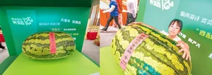 The 100kg Giant Watermelon from China: A Remarkable Feat of Agriculture and Horticulture That Surprised the World - image 1