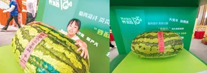 The 100kg Giant Watermelon from China: A Remarkable Feat of Agriculture and Horticulture That Surprised the World - image 4