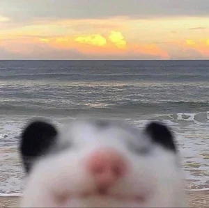 Hilarious and Unique Selfies Captured with Animals Worldwide - image 4