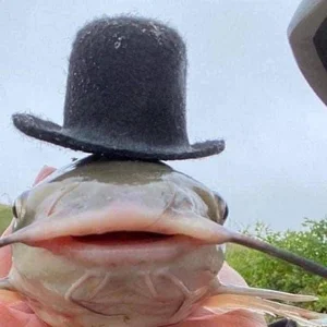 Hilarious and Unique Selfies Captured with Animals Worldwide - image 1