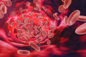 Japan Develops Universal Artificial Blood with No Refrigeration Required - image 0