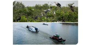 Coca-Cola Celebrates Three Decades of Growth and Impact in Vietnam - image 3