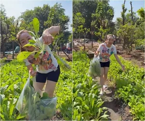 A Lush Green Oasis: Inside the Beautiful Garden of Actor Chi Bao and His Wife - image 4