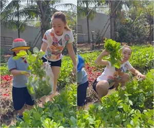 A Lush Green Oasis: Inside the Beautiful Garden of Actor Chi Bao and His Wife - image 1