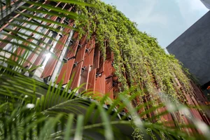 Urban Oasis: Discover the 'Hanging Gardens of Babylon' Townhouse in Quy Nhon - image 0