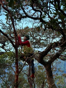 Ngok Kal Trekking Guide: An Extreme Adventure for Outdoor Enthusiasts - image 8
