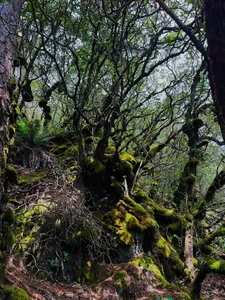 Ngok Kal Trekking Guide: An Extreme Adventure for Outdoor Enthusiasts - image 6