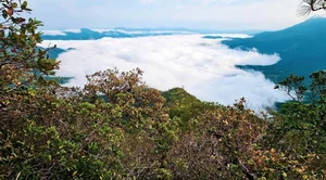Ngok Kal Trekking Guide: An Extreme Adventure for Outdoor Enthusiasts - image 10
