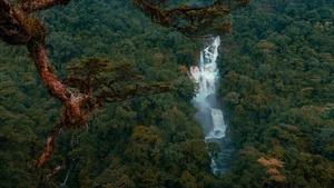 Ngok Kal Trekking Guide: An Extreme Adventure for Outdoor Enthusiasts - image 3