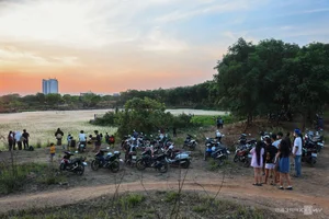 Saigon's Hidden Reed Fields: The Ultimate Photography Spot for Youth - image 0