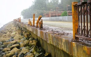 Addressing Pollution Issues at Thanh Hoa's Beautiful Beaches - image 8
